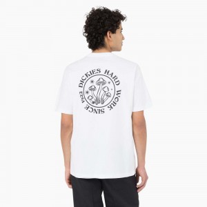 Men's Dickies Bayside Gardens Short Sleeve T-Shirt White | 596238XWO