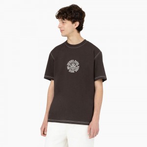 Men's Dickies Beavertown Short Sleeve T-Shirt Brown | 186297EXY