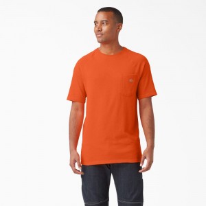 Men's Dickies Cooling Short Sleeve Pocket T-Shirt Orange | 230678CLH