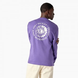 Men's Dickies Garden Plain Graphic Long Sleeve T-Shirt Purple | 458739HIR