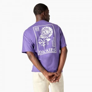 Men's Dickies Garden Plain Graphic T-Shirt Purple | 852043KDM