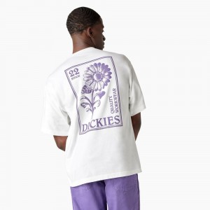 Men's Dickies Garden Plain Graphic T-Shirt White | 397240ORW