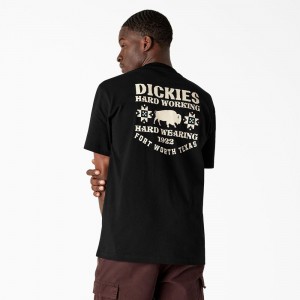 Men's Dickies Hays Graphic T-Shirt Black | 087923NYS