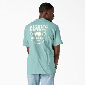 Men's Dickies Hays Graphic T-Shirt Turquoise | 348295KVS