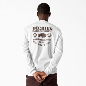 Men's Dickies Hays Long Sleeve Graphic T-Shirt White | 706935YHQ