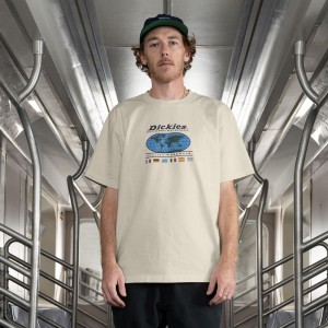 Men's Dickies Jake Hayes Graphic T-Shirt Beige | 598412WTM