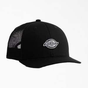 Men's Dickies Low Pro Logo Trucker Hat Black | 184259GLH