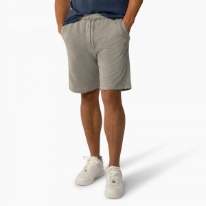 Men's Dickies Mapleton Regular Fit Shorts Grey | 620547YSZ