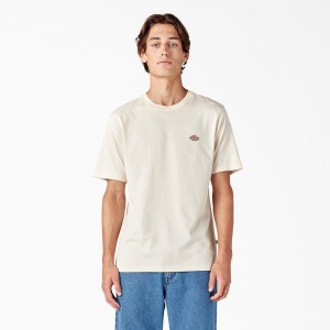 Men's Dickies Mapleton Short Sleeve T-Shirt Beige | 475602QCF