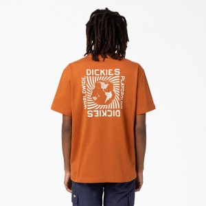 Men's Dickies Marbury Short Sleeve T-Shirt Brown | 376051ATQ