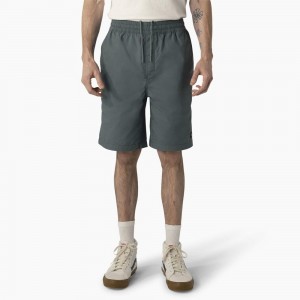 Men's Dickies Skateboarding Grants Pass Relaxed Fit Shorts Blue | 842963EXU