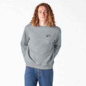 Men's Dickies Skateboarding Pool Drainage Graphic Sweatshirt Grey | 260871DYN