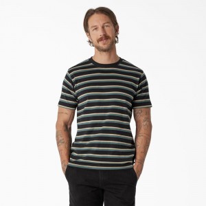 Men's Dickies Skateboarding Striped T-Shirt Black | 087531VIH