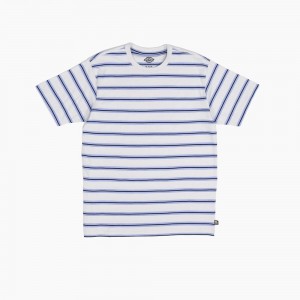 Men's Dickies Skateboarding Striped T-Shirt Blue | 047823LHI