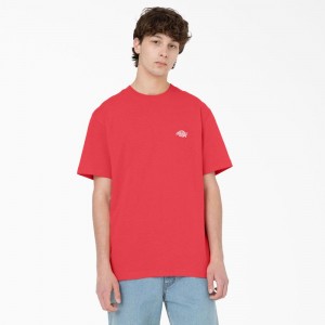 Men's Dickies Summerdale Short Sleeve T-Shirt Pink | 432176XDH