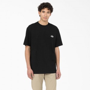 Men's Dickies Summerdale Short Sleeve T-Shirt Black | 561942ASY