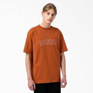 Men's Dickies Union Springs Short Sleeve T-Shirt Brown | 894315YWL