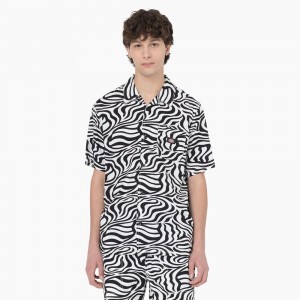 Men's Dickies Zebra Print Short Sleeve Shirt Black | 086531HRX