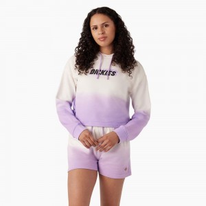 Women's Dickies Cropped Ombre Hoodie White | 184305QAO