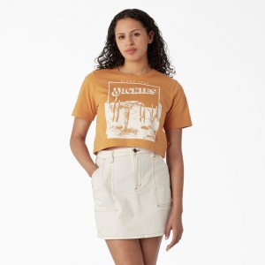 Women's Dickies Desert Graphic Cropped T-Shirt Yellow | 298473CTB