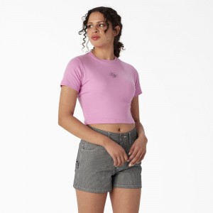 Women's Dickies Embroidered Cropped Baby T-Shirt Pink | 380716TIJ