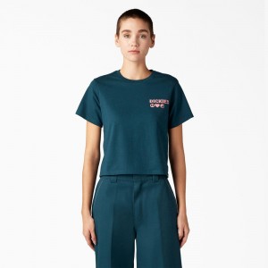 Women's Dickies Graphic T-Shirt Blue | 573896BUR