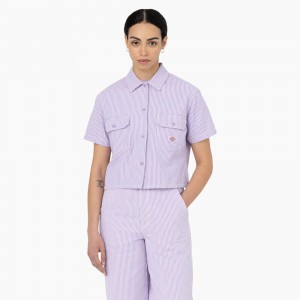 Women's Dickies Hickory Stripe Cropped Work Shirts Purple | 619730FQR