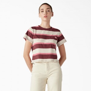 Women's Dickies Large Striped Cropped Pocket T-Shirt Beige | 489763HZO