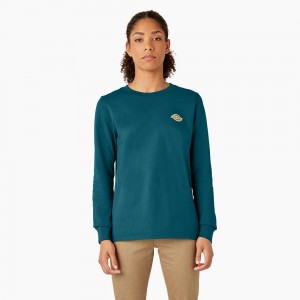 Women's Dickies Long Sleeve Heavyweight Graphic T-Shirt Blue | 063541QKV