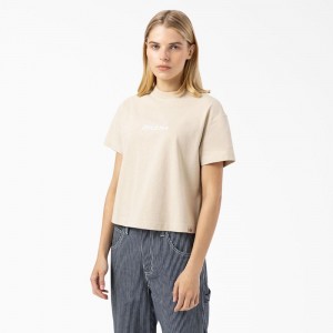 Women's Dickies Loretto Cropped T-Shirt Beige | 953126KOL