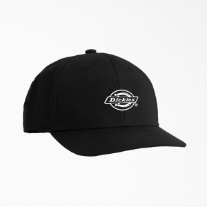 Women's Dickies Low Pro Logo Print Cap Black | 976023IRB