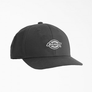 Women's Dickies Low Pro Logo Print Cap Grey | 204356BVI