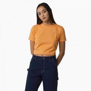 Women's Dickies Maple Valley Cropped T-Shirt Yellow | 408312TFR