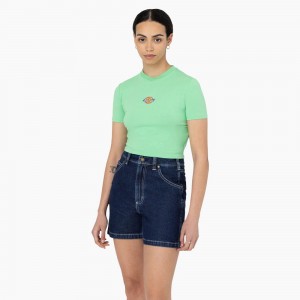 Women's Dickies Maple Valley Logo Cropped T-Shirt Green | 845132YRG