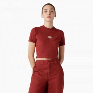 Women's Dickies Maple Valley Logo Cropped T-Shirt Red | 597630YEX