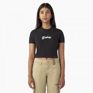 Women's Dickies Mayetta Cropped T-Shirt Black | 481639YCG