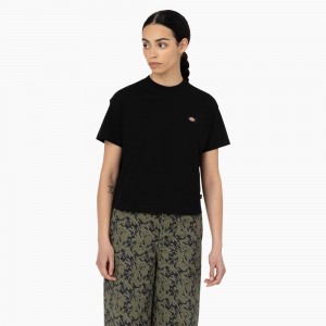 Women's Dickies Oakport Cropped T-Shirt Black | 586270JUH