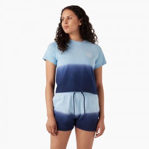 Women's Dickies Ombre Cropped T-Shirt Blue | 614503KNF