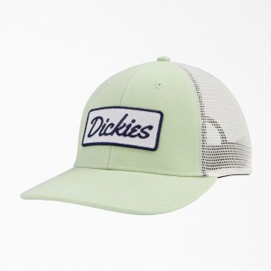 Women's Dickies Patch Logo Trucker Cap Green | 053218DPF