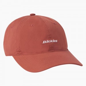 Women's Dickies Premium Collection Ball Cap Orange | 741085AZT