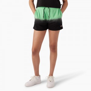 Women's Dickies Relaxed Fit Ombre Knit Shorts Green | 149238NPT