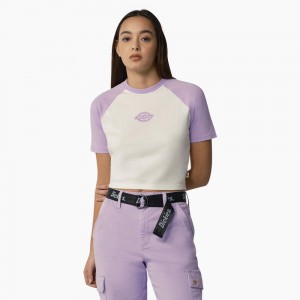 Women's Dickies Sodaville Cropped T-Shirt White | 974253YVB