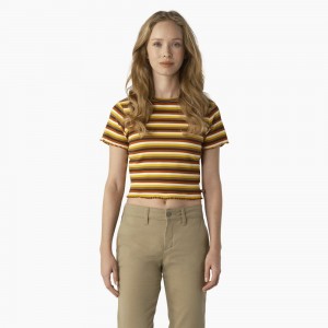 Women's Dickies Striped Cropped Baby T-Shirt Yellow | 418056MHK