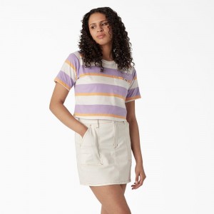 Women's Dickies Striped Cropped Pocket T-Shirt Purple | 239417QOL