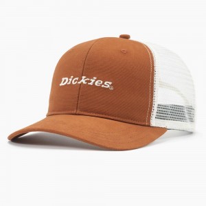 Women's Dickies Two-Tone Trucker Cap Brown | 549372BLT