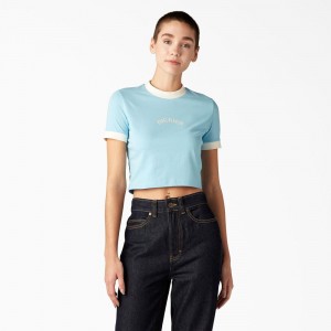 Women's Dickies Warm Springs T-Shirt Blue | 476821LUN