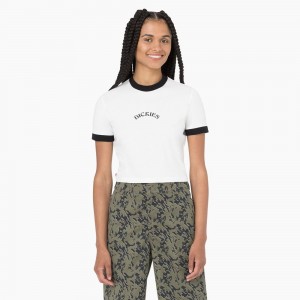 Women's Dickies Warm Springs T-Shirt White | 237689TIV