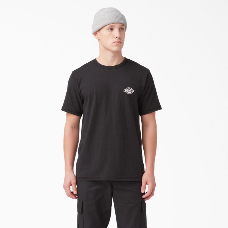 Men's Dickies Back Logo Graphic T-Shirt Black | 853721DWX