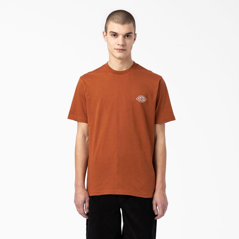 Men's Dickies Back Logo Graphic T-Shirt Brown | 627140ROG