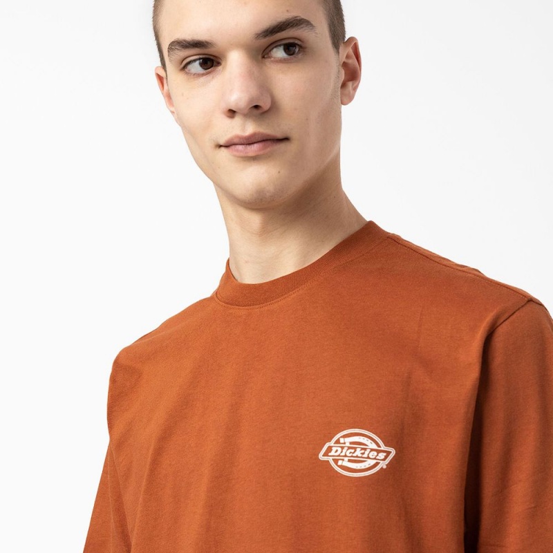 Men's Dickies Back Logo Graphic T-Shirt Brown | 627140ROG